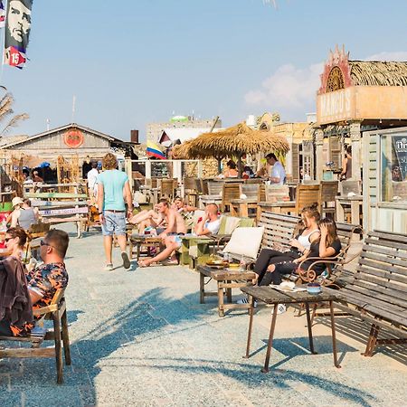 Studio Jadana Zandvoort Dış mekan fotoğraf